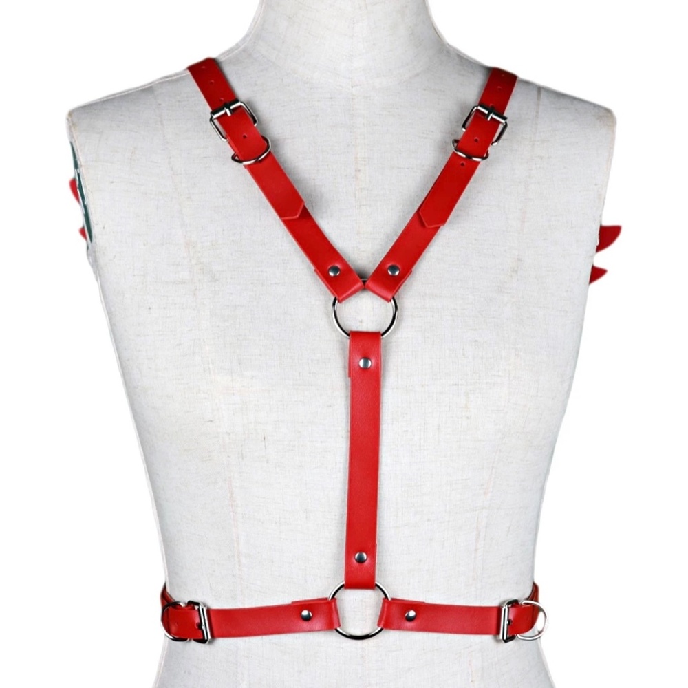 Red Leather Harness Set - Picture 9 of 9